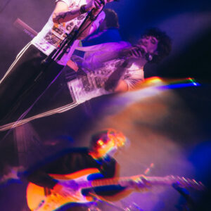 Lizard Lizard @ Maison poème (Auditions Parcours FrancoFaune 2026) © Lara Herbinia