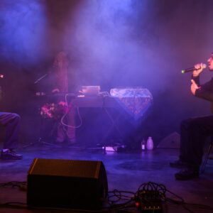 Borev Borev @ Maison poème (Auditions Parcours FrancoFaune 2026) © Lara Herbinia