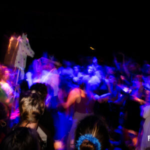 Ambiance Ambiance @ Atelier 210 (FrancoFaune 2026) © Lionel Vatelli