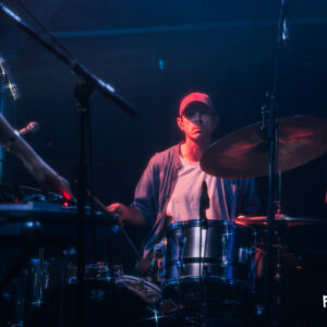 Chaton Laveur @ Botanique (FrancoFaune 2026) © Lara Herbinia