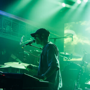 Chaton Laveur @ Botanique (FrancoFaune 2026) © Lara Herbinia