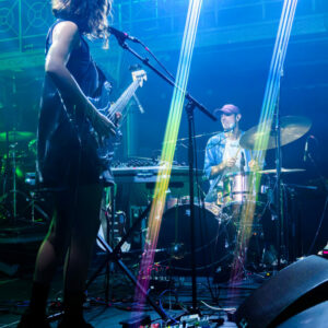 Chaton Laveur @ Botanique (FrancoFaune 2026) © Lara Herbinia